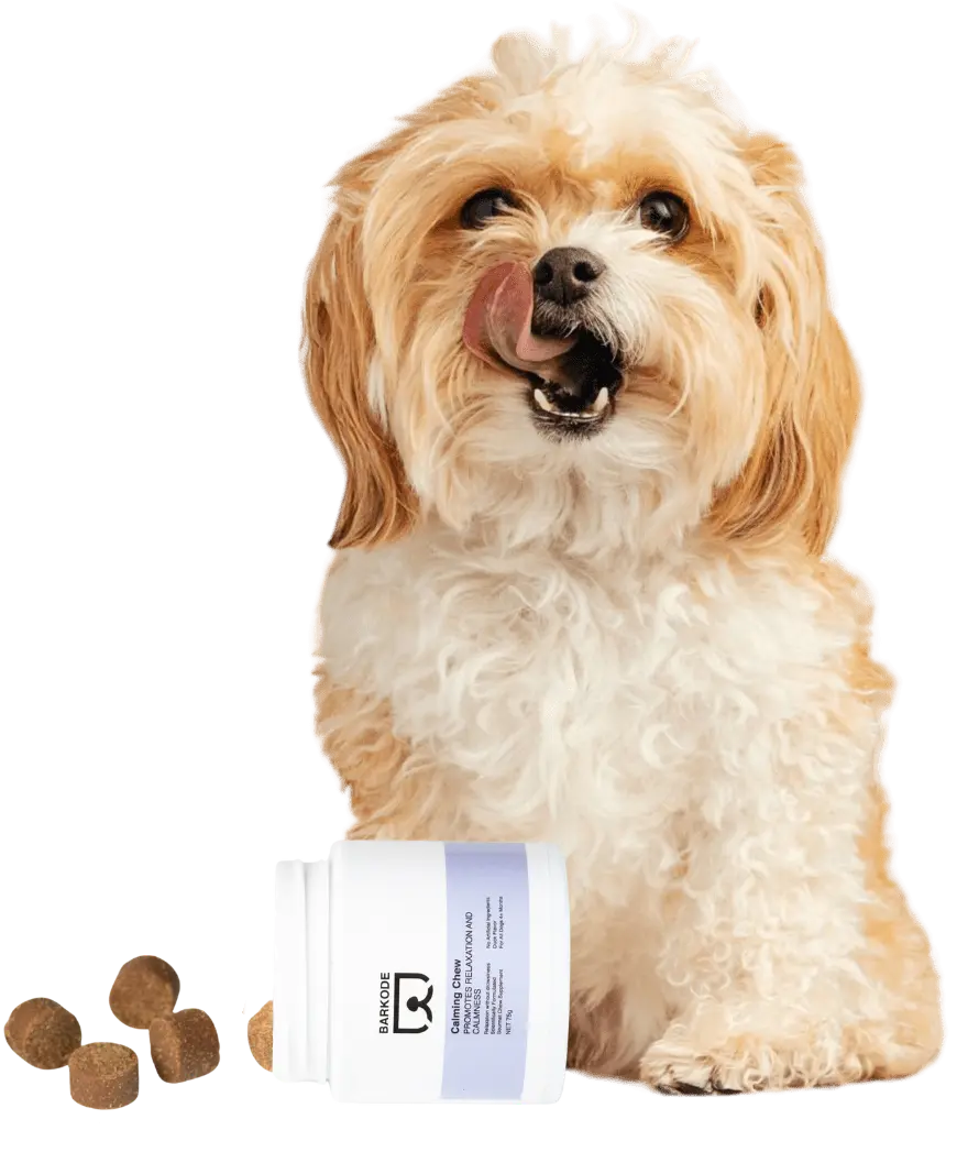 Kutya Calming Chews-zal