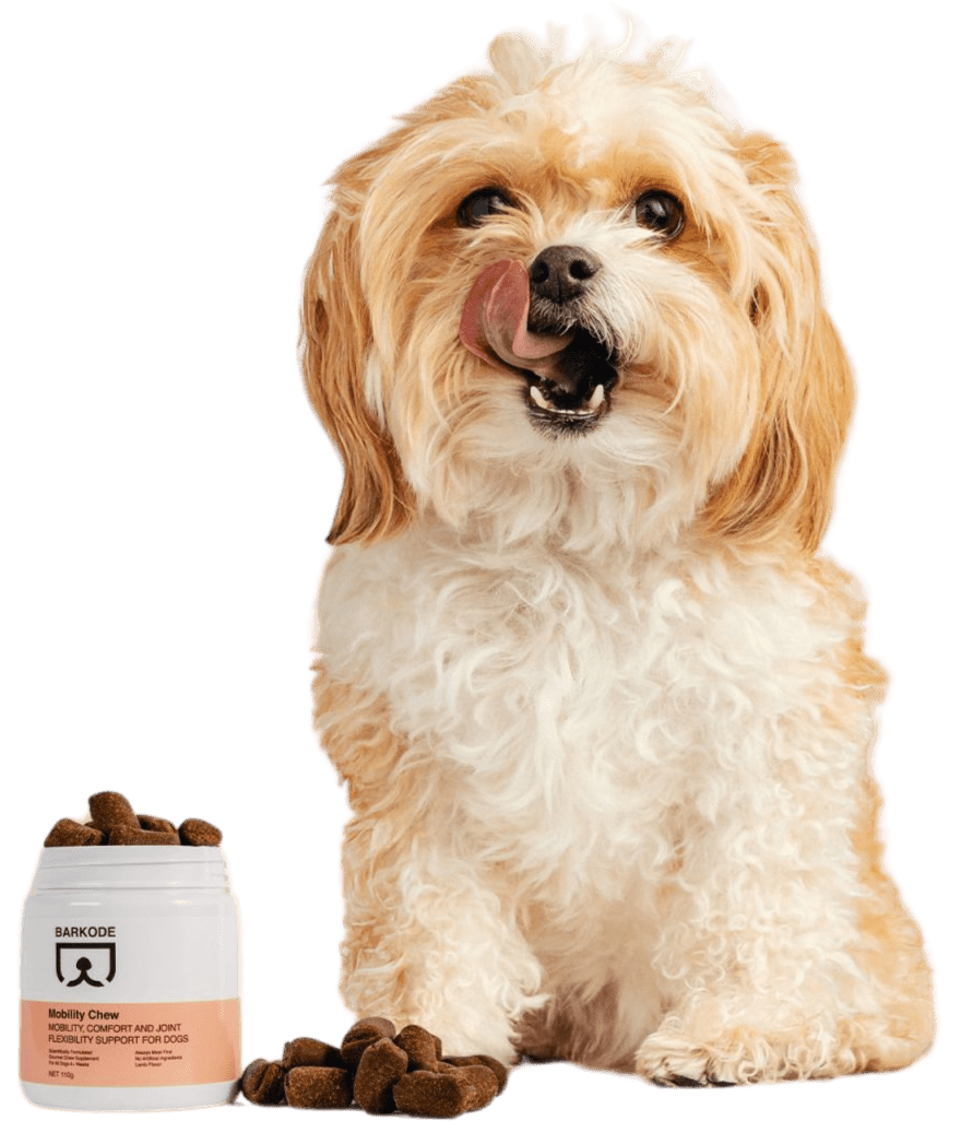 Kutya Mobility Chews-zal