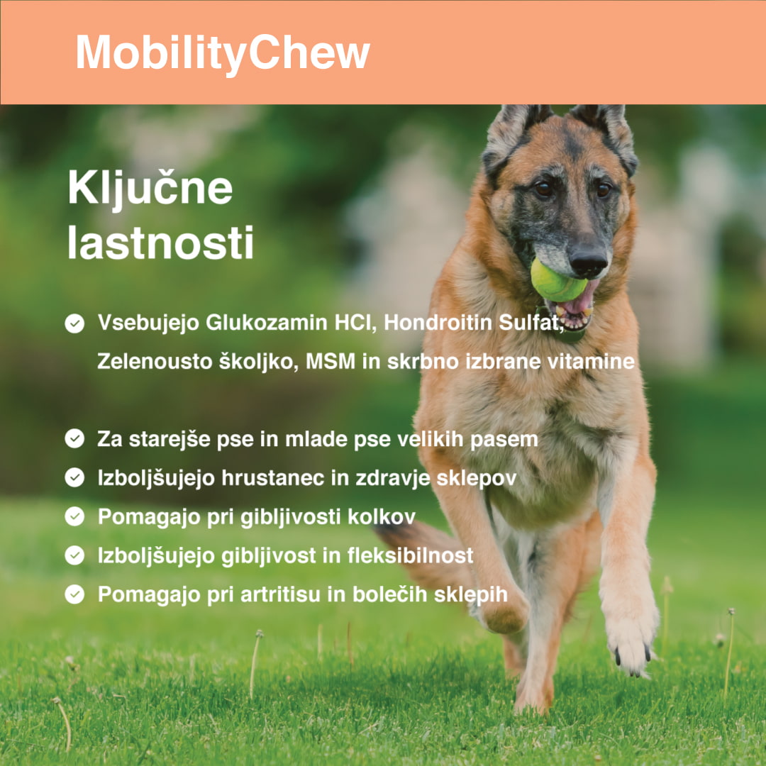 Mobility Chew fő tulajdonságok