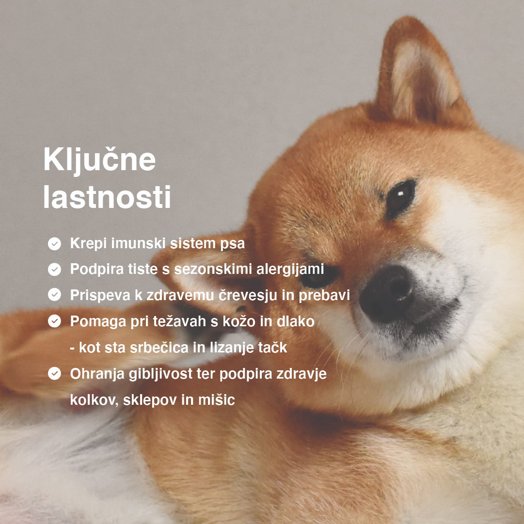 Multi Chew fő tulajdonságok