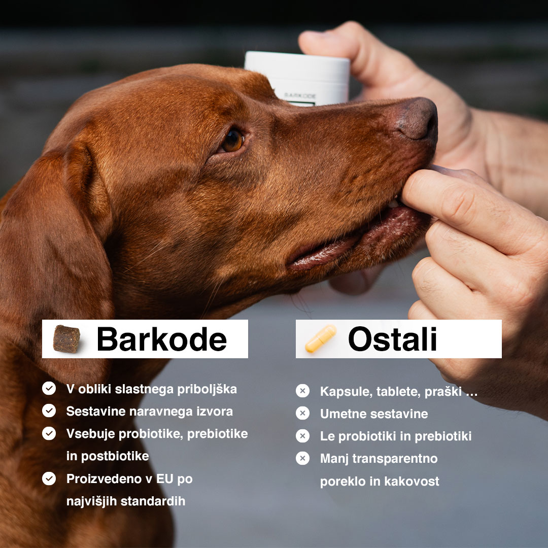 Probiotic Chew fő tulajdonságok
