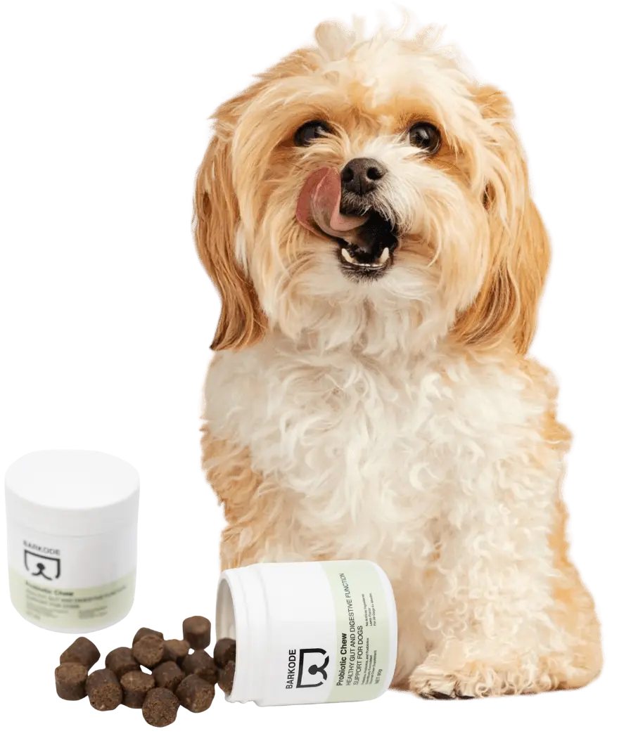 Kutya Probiotic Chews-zal