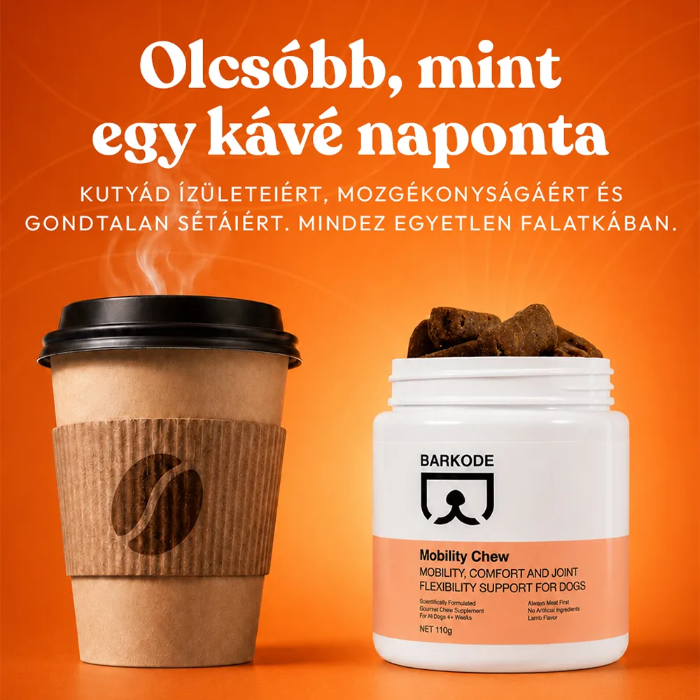 Egy doboz Mobility Chew egy csésze kávé mellett